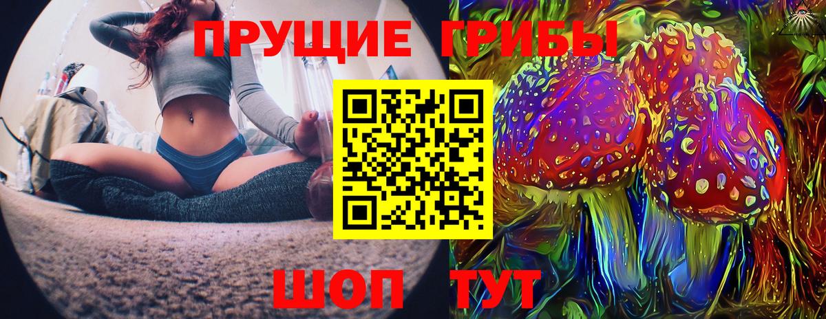Саяногорск  Псилоцибиновые грибы Cubensis  Вход с VPN 